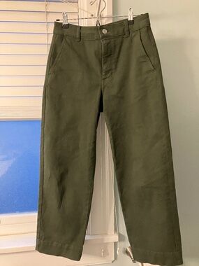 Everlane Cotton Twill Chinos
